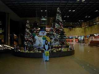 [Changi Airport]